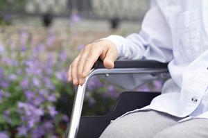 伊勢原にある動物に優しい動物病院