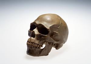 家族全員が通える！大島で信頼の歯医者選びと予防歯科の重要性