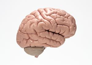 鹿島田でおすすめの歯医者！家族の健康を守るための完全ガイド